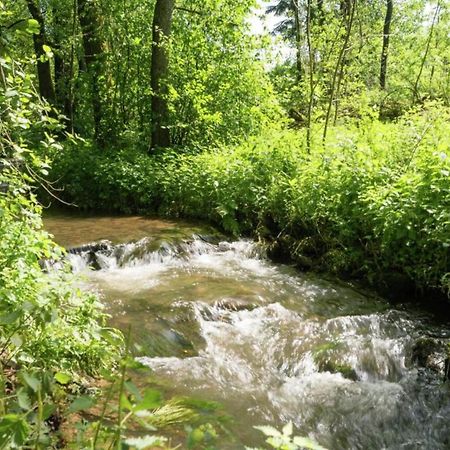 1St Floor Apartment Near Willingen Willingen  Luaran gambar