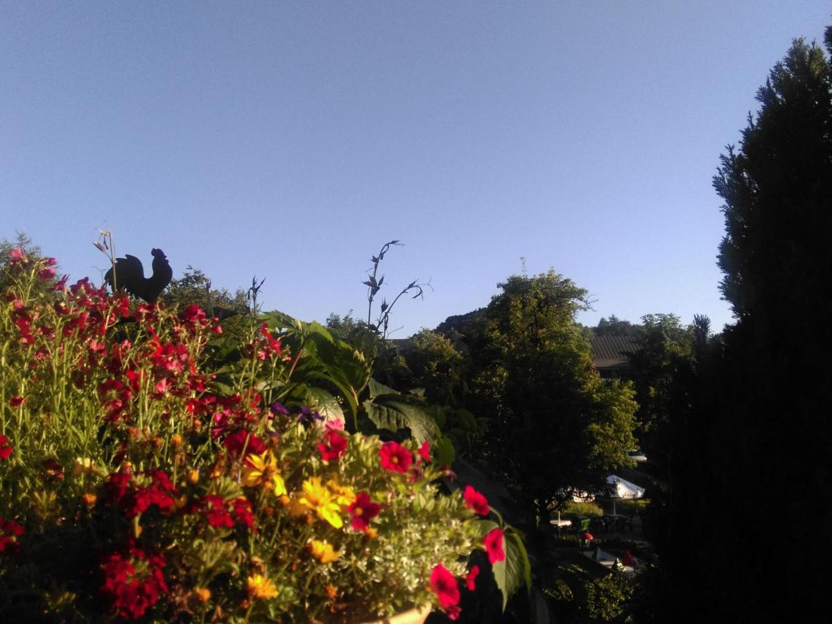 1St Floor Apartment Near Willingen Willingen  Luaran gambar