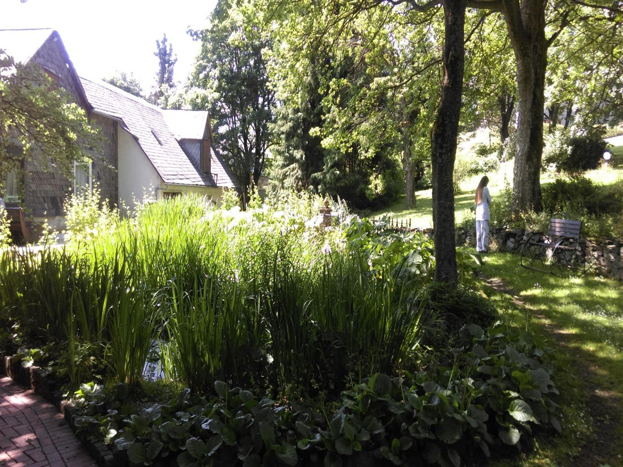 1St Floor Apartment Near Willingen Willingen  Luaran gambar