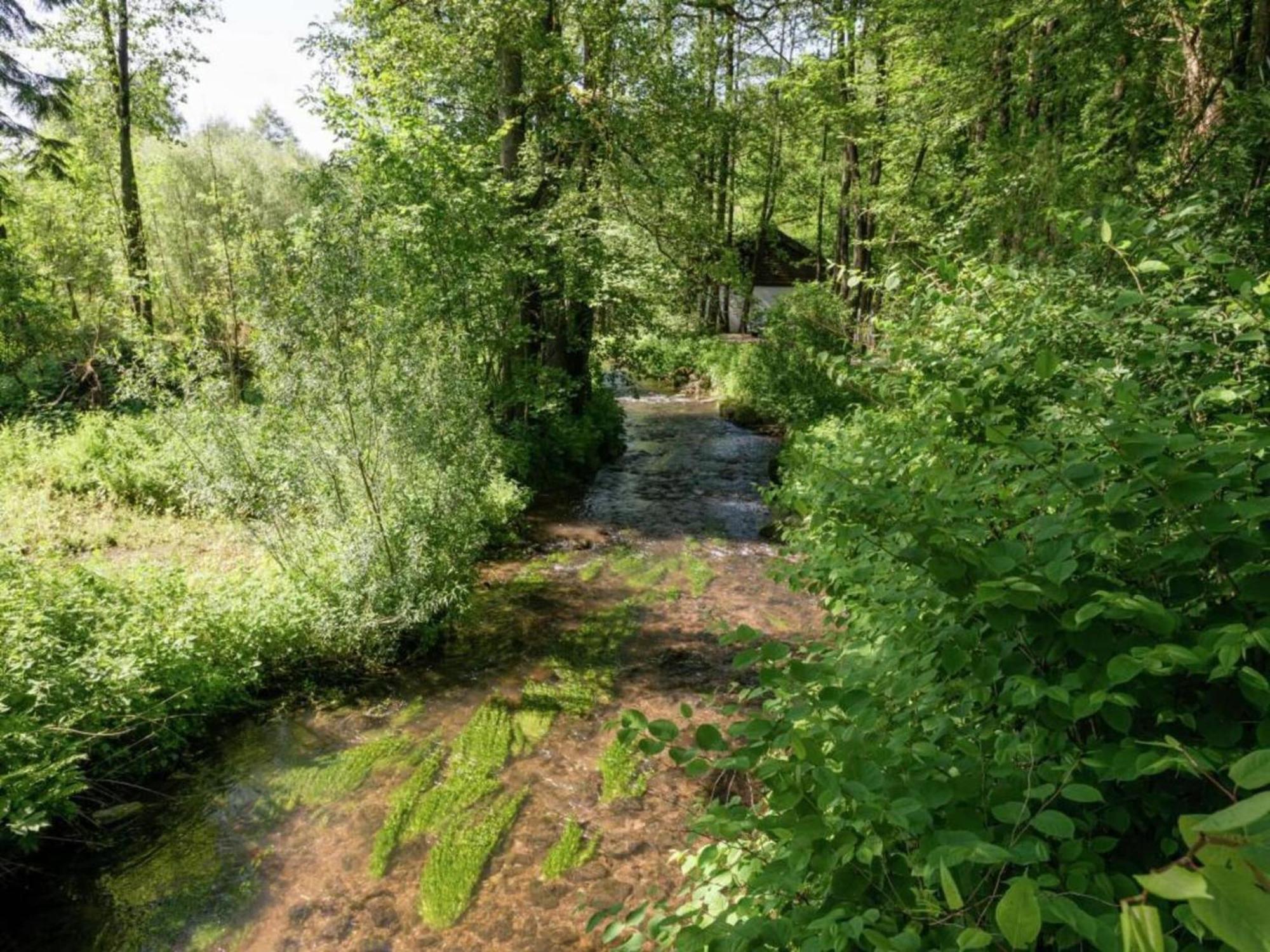 1St Floor Apartment Near Willingen Willingen  Luaran gambar